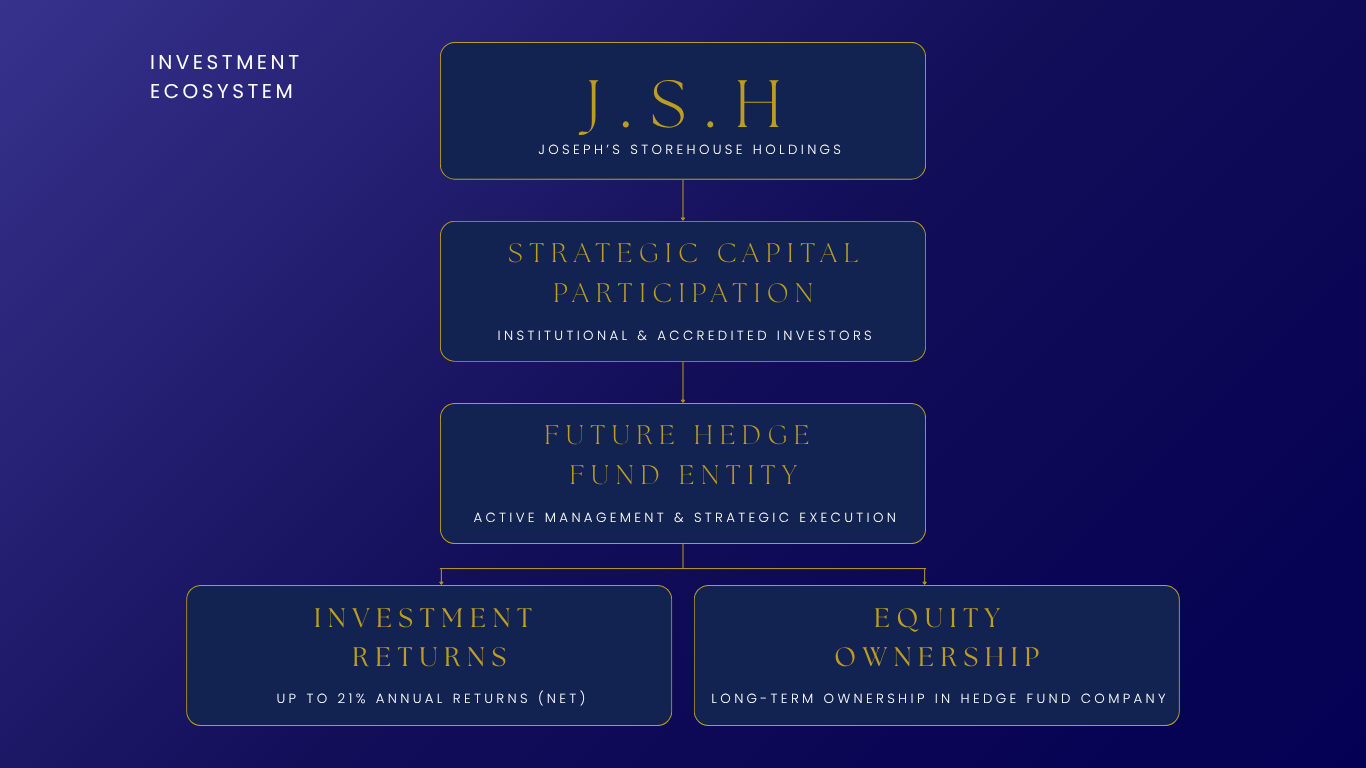Investment Ecosystem — Structural Overview of Joseph Storehouse Holdings